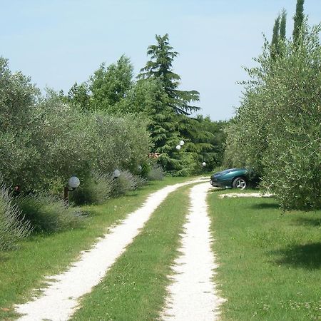 Vista Assisi Bed & Breakfast Eksteriør bilde