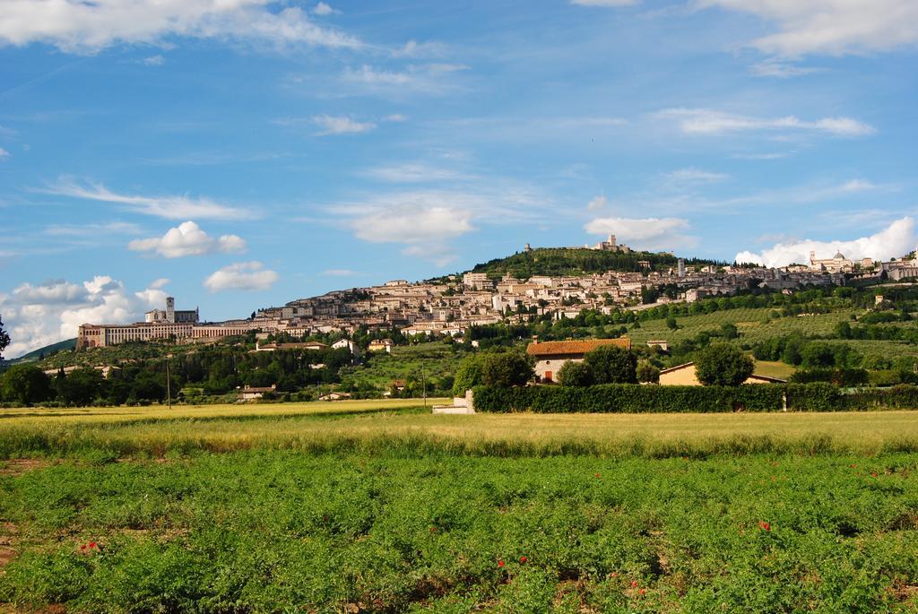 Vista Assisi Bed & Breakfast Eksteriør bilde