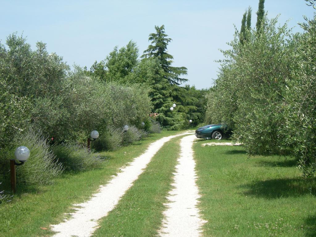 Vista Assisi Bed & Breakfast Eksteriør bilde
