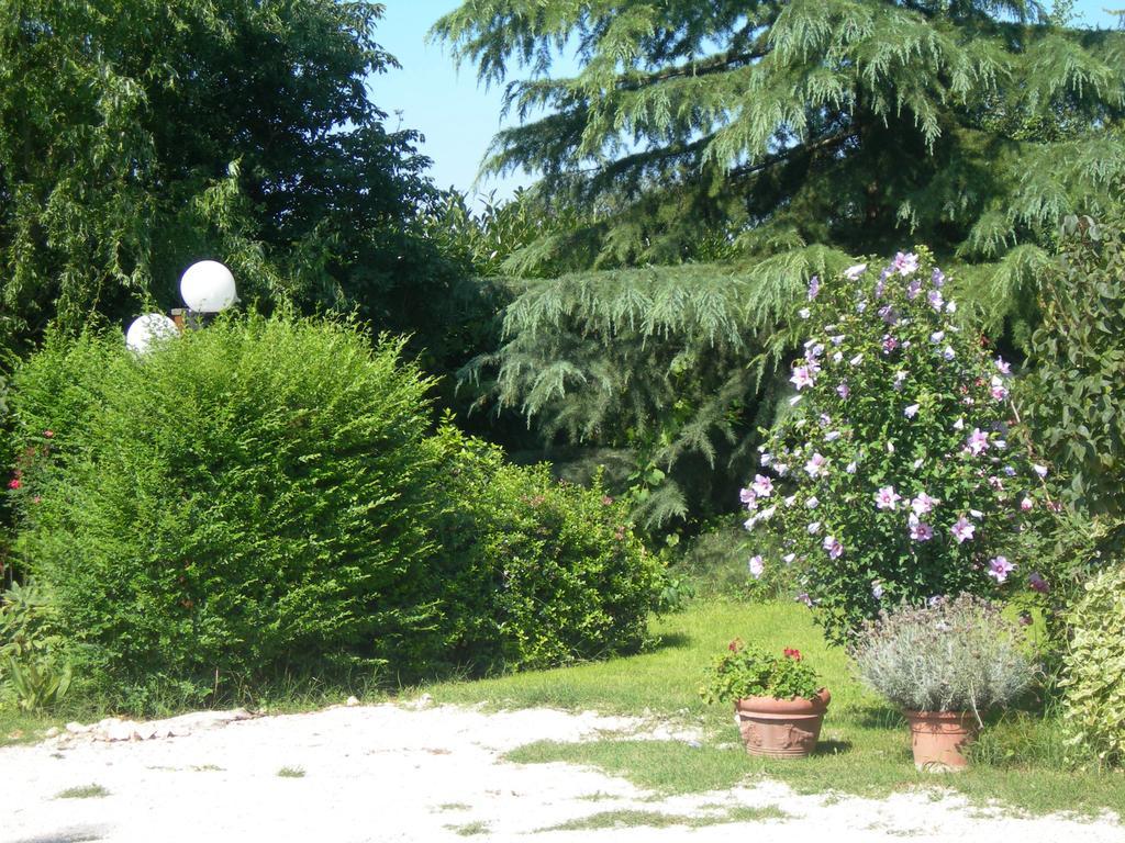 Vista Assisi Bed & Breakfast Eksteriør bilde
