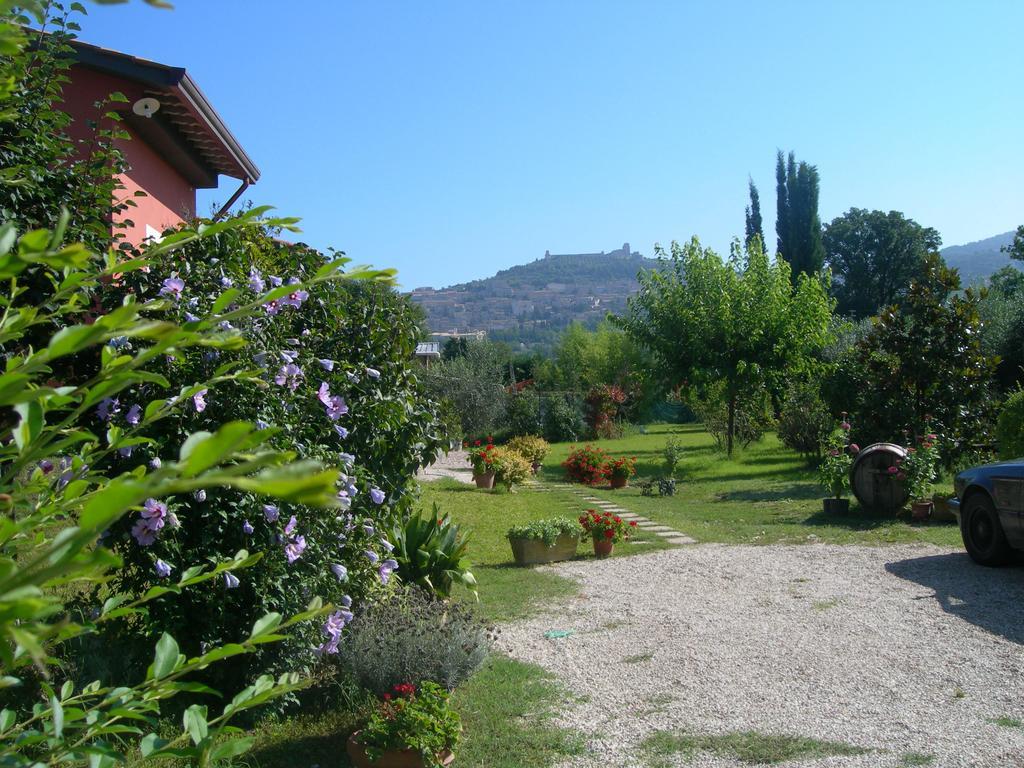 Vista Assisi Bed & Breakfast Eksteriør bilde