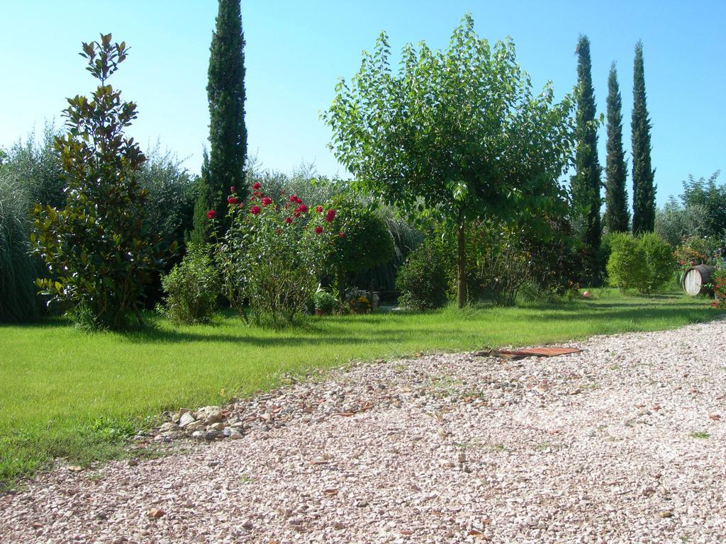 Vista Assisi Bed & Breakfast Eksteriør bilde