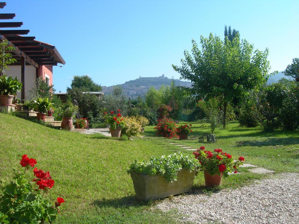 Vista Assisi Bed & Breakfast Eksteriør bilde