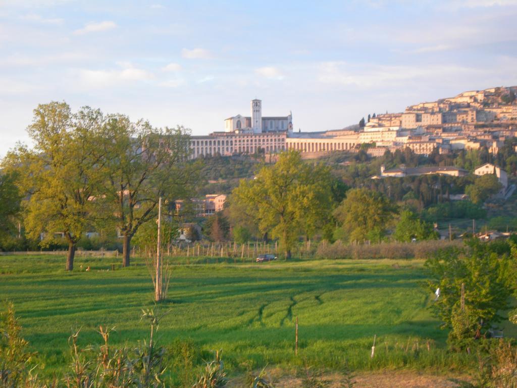 Vista Assisi Bed & Breakfast Eksteriør bilde