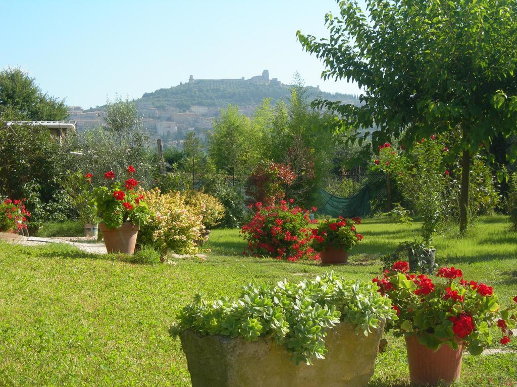 Vista Assisi Bed & Breakfast Eksteriør bilde