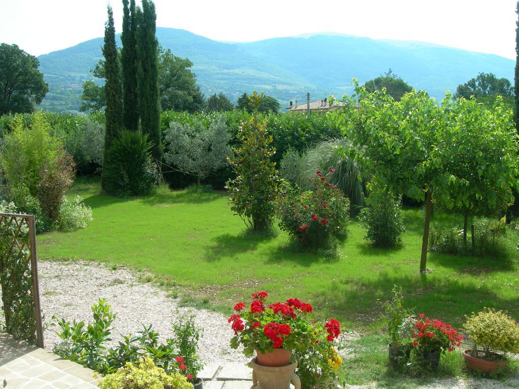 Vista Assisi Bed & Breakfast Eksteriør bilde