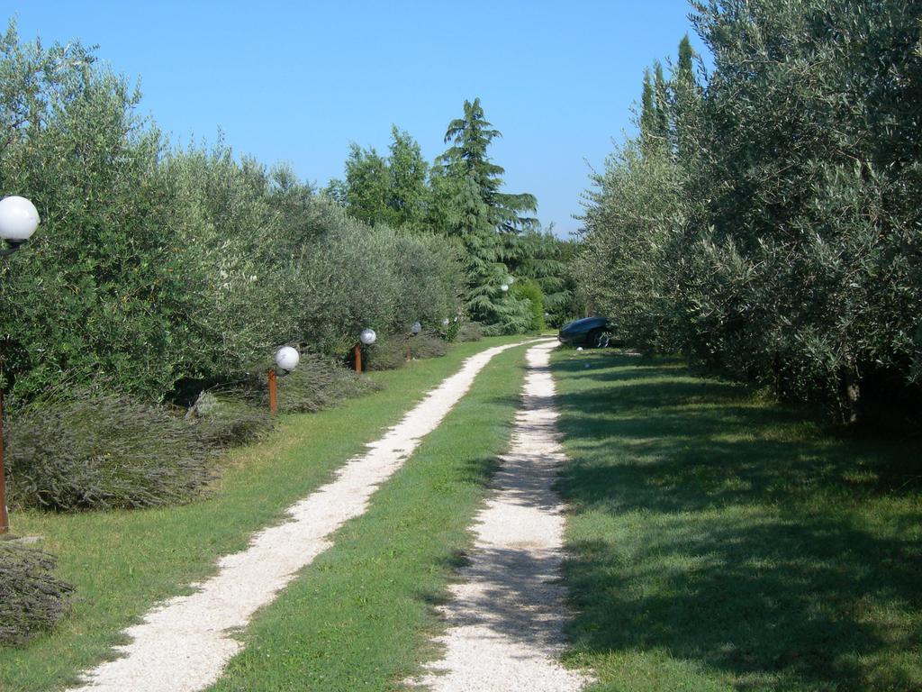 Vista Assisi Bed & Breakfast Eksteriør bilde